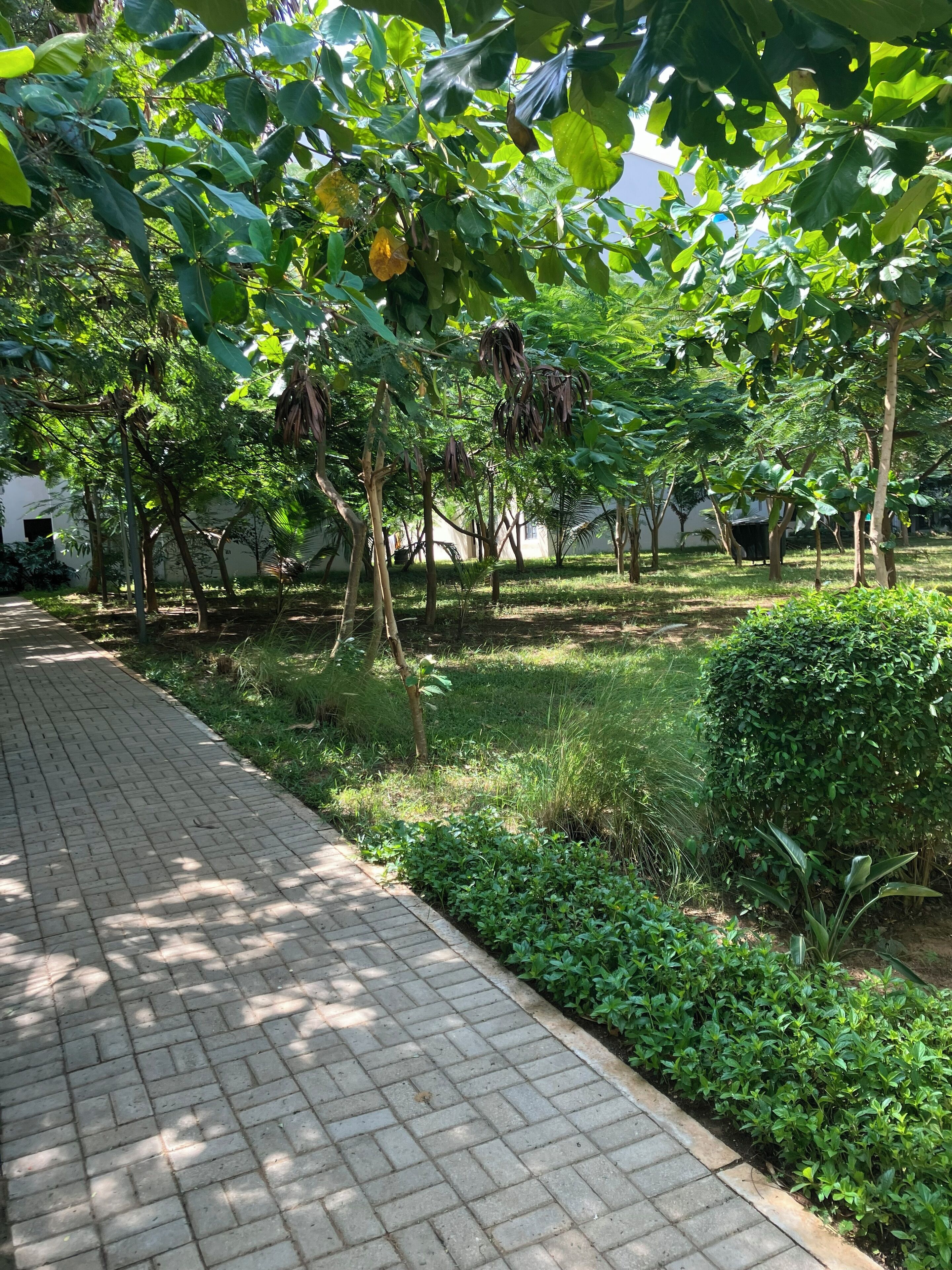 Parco della struttura