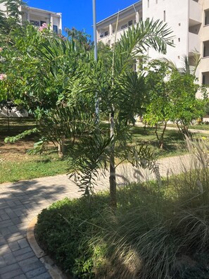 Parco della struttura