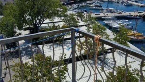 Ein Yachthafen mit vertäuten Booten, ein Baum im Vordergrund und Gebäude im Hintergrund.