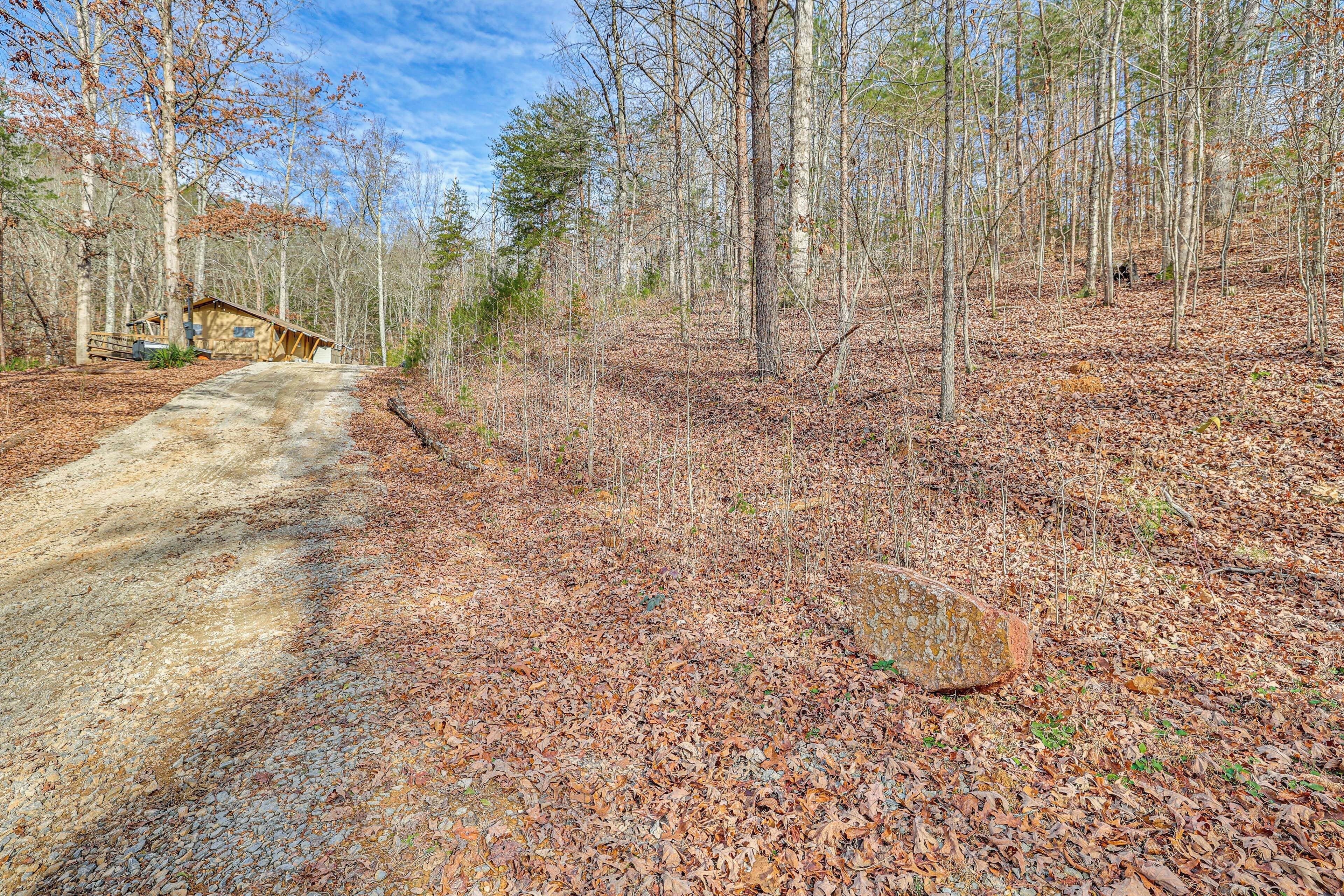 A rustic cabin with a dirt path leading to it, surrounded by a forest with leaf-covered ground.