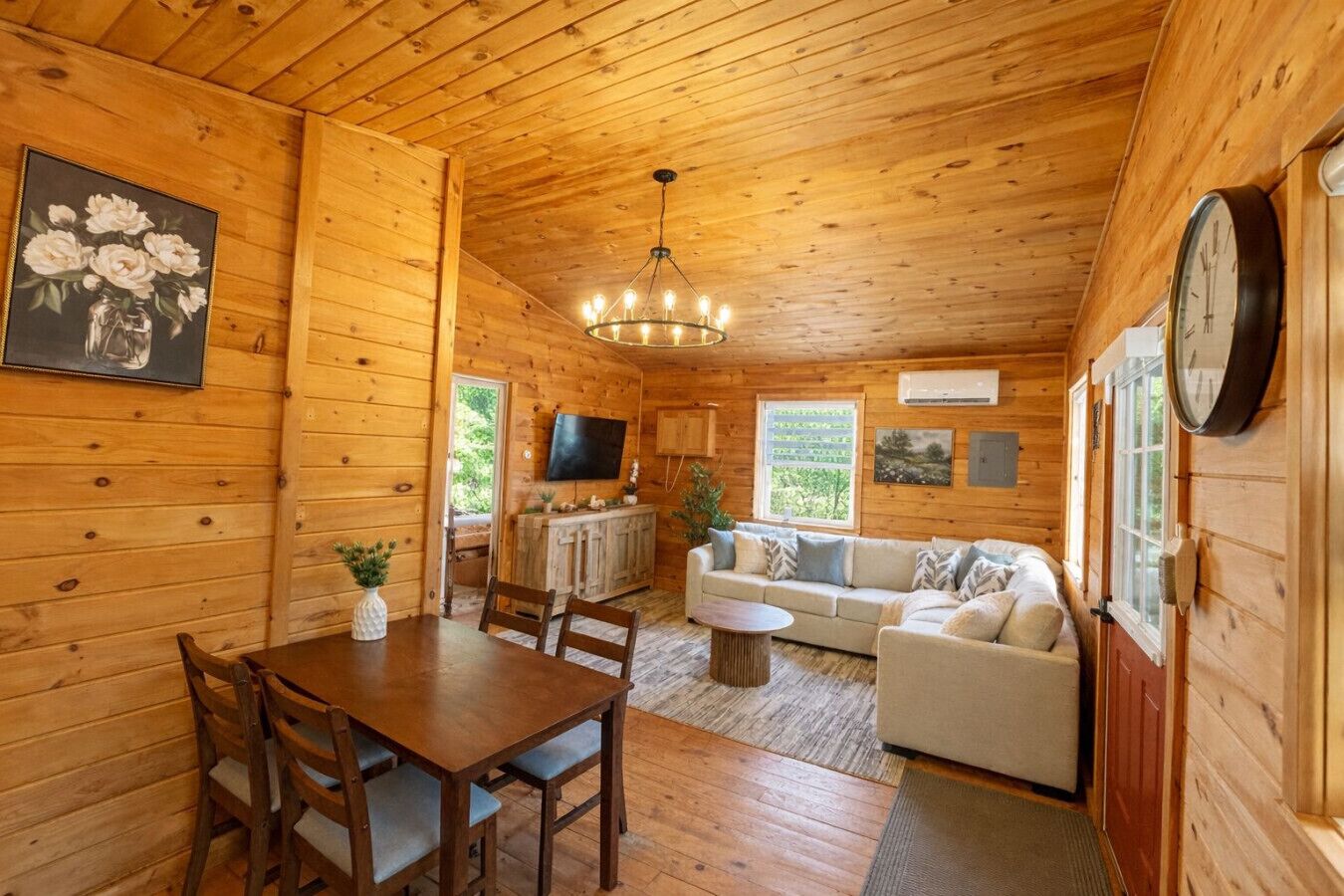 TV, lettore DVD, libri, videoteca