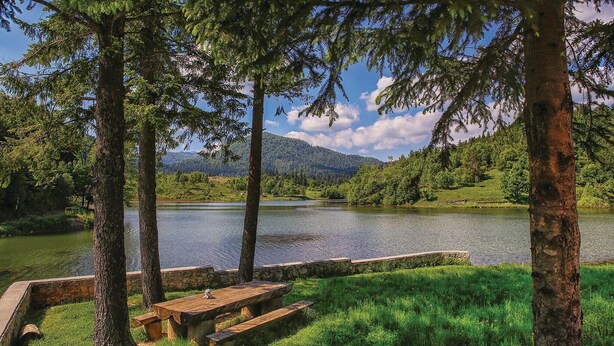 Un espace de pique-nique au bord du lac, avec un banc en pierre et une table de pique-nique, le tout entouré d’arbres.