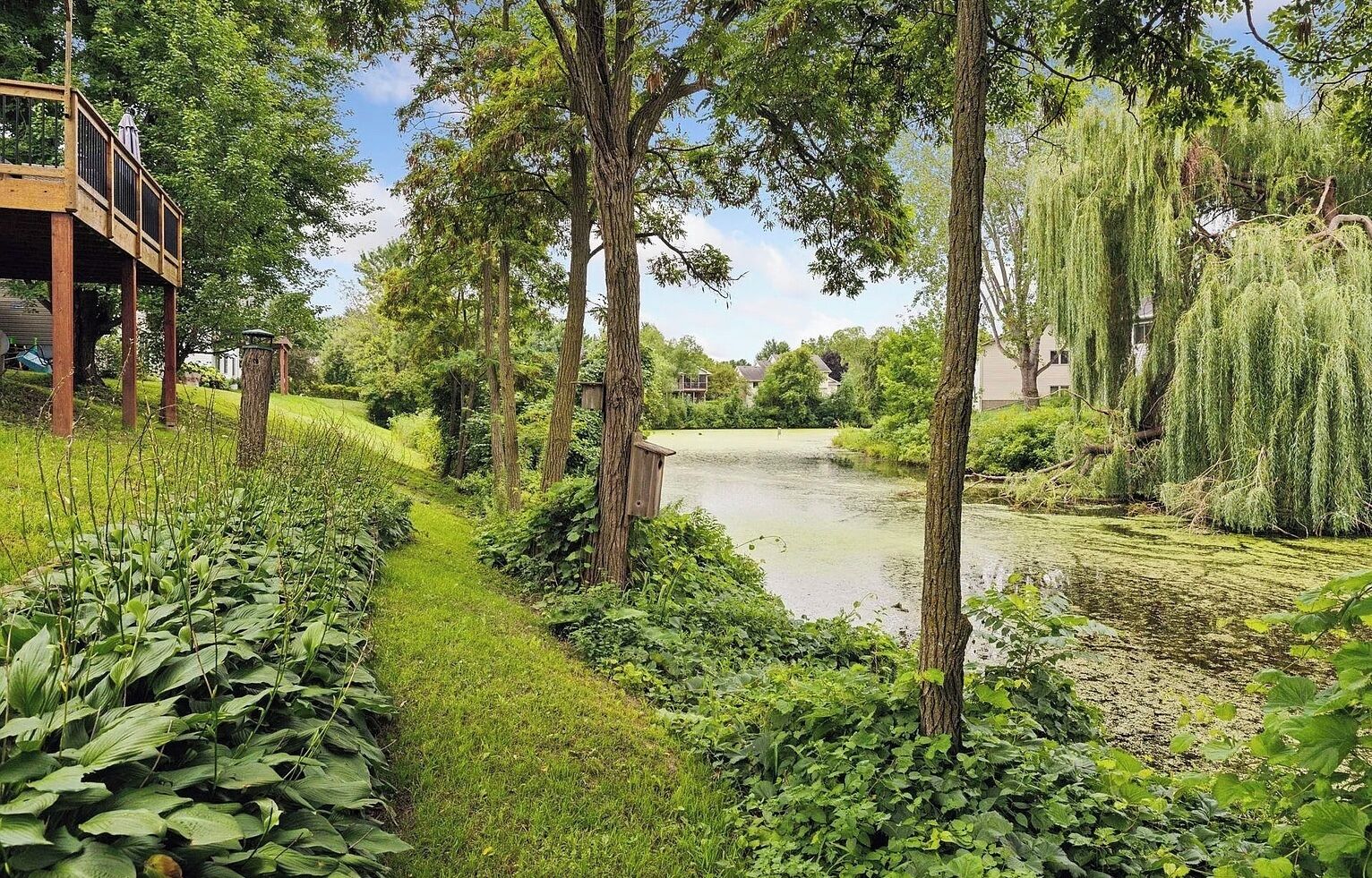 Un jardin paisible au bord de la rivière, agrémenté d’une terrasse en bois, d’une végétation luxuriante et d’arbres majestueux.