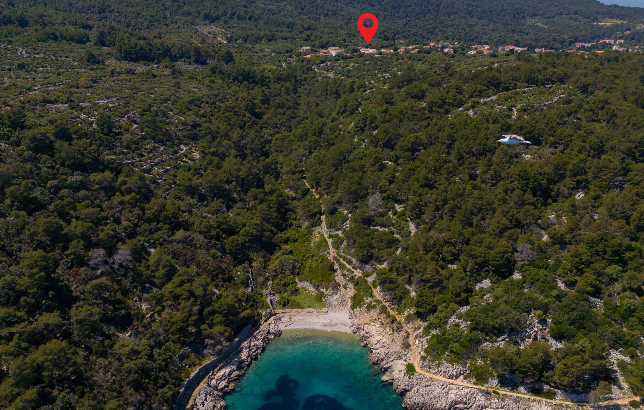 Vista aerea di una zona costiera con fitta vegetazione, una baia turchese cristallina e un segnaposto rosso.