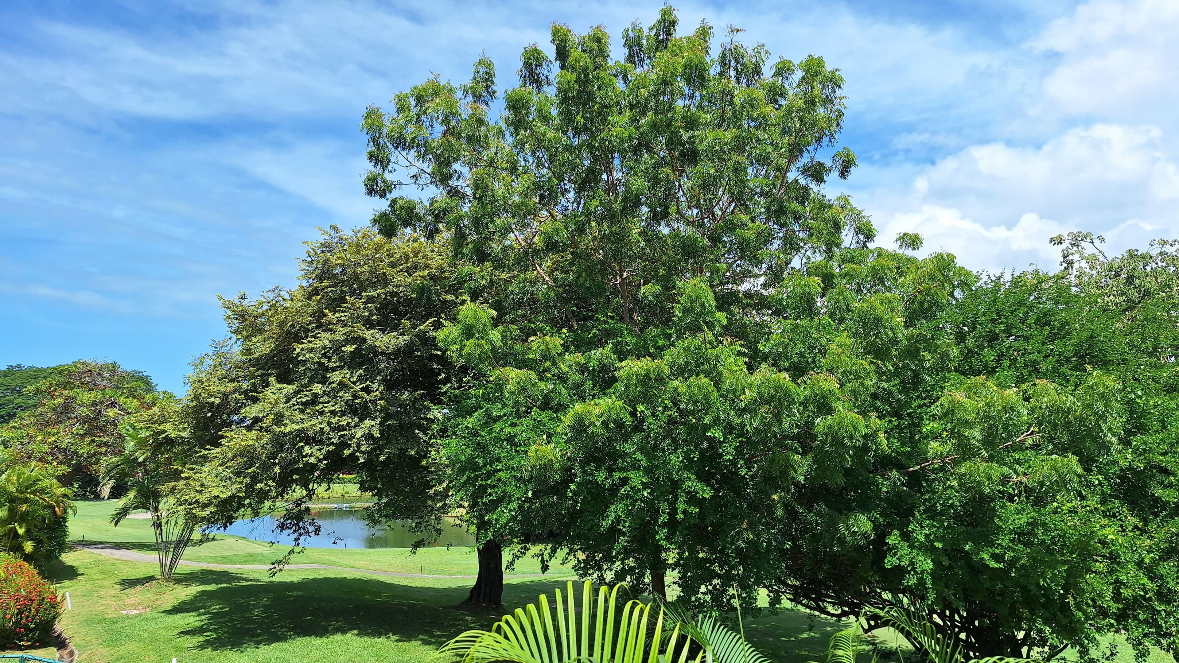 ลักซ์ชัวรี่วิลล่า, เห็นวิวทะเลสาบบางส่วน | โต๊ะทำงาน, พื้นที่ทำงานแบบใช้แล็ปท็อป, Wi-Fi ฟรี