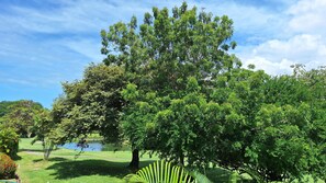 Villa de lujo, vista parcial al lago | Escritorio, espacio para trabajar con laptop y wifi gratis 