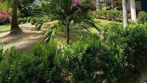 Een tropische tuin met palmbomen en een gebouw met een balkon.