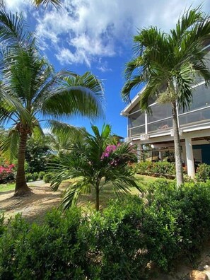 Property grounds - 5 minute walk to West Bay Beach! (West Bay)