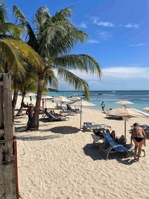 Camastros y toallas de playa 