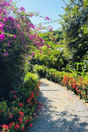 Property grounds - Beautiful West Bay Beach large 4 br with pool. (West Bay)