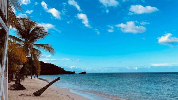 A beach with palm trees, a clear sky, and calm water. - Beautiful West Bay Beach large 4 br with pool. (West Bay)