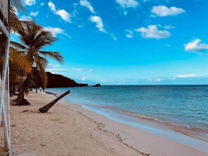 A beach with palm trees, a clear sky, and calm water. - Beautiful West Bay Beach large 4 br with pool. (West Bay)