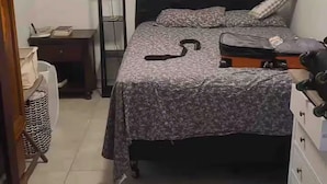 Une chambre à coucher comprenant un lit, une commode, une table de chevet et un ventilateur de plafond.