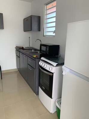Private kitchen - Hato Rey Room with Open Terrace 304 (San Juan)