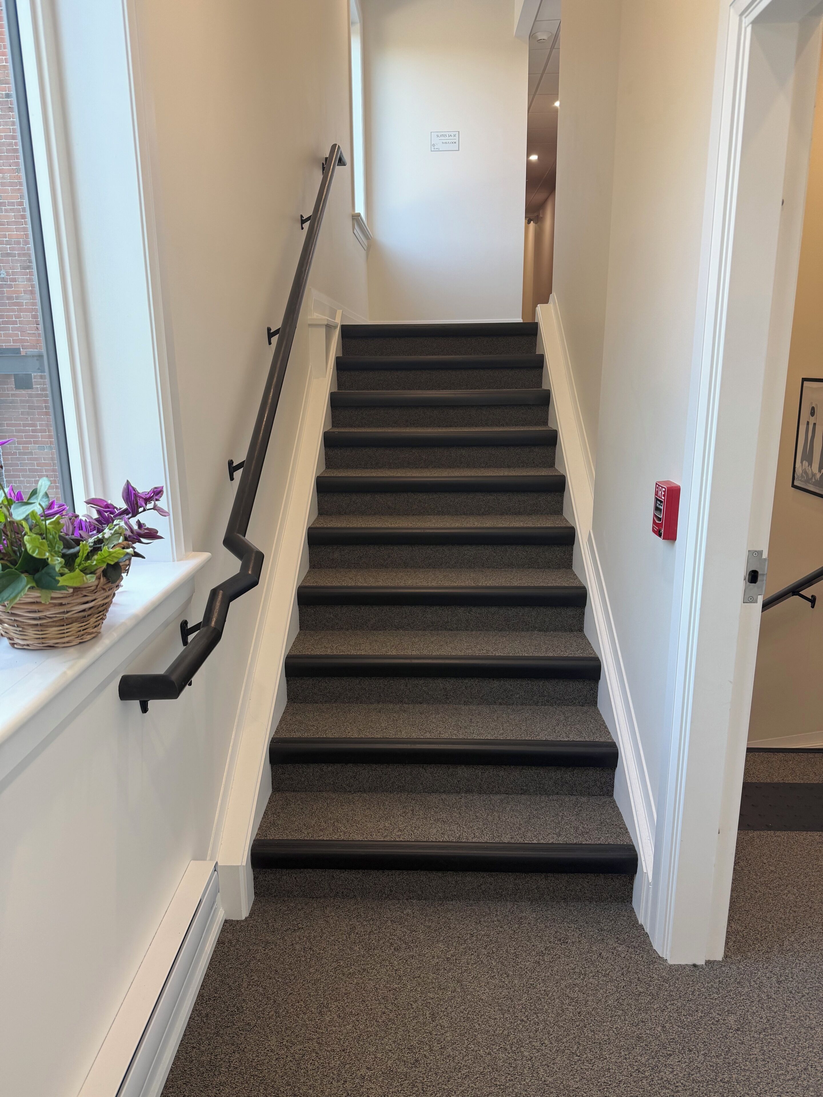 Un escalier recouvert de moquette avec une main courante, un panier rempli de fleurs sur le palier et un détecteur d’incendie sur le mur.
