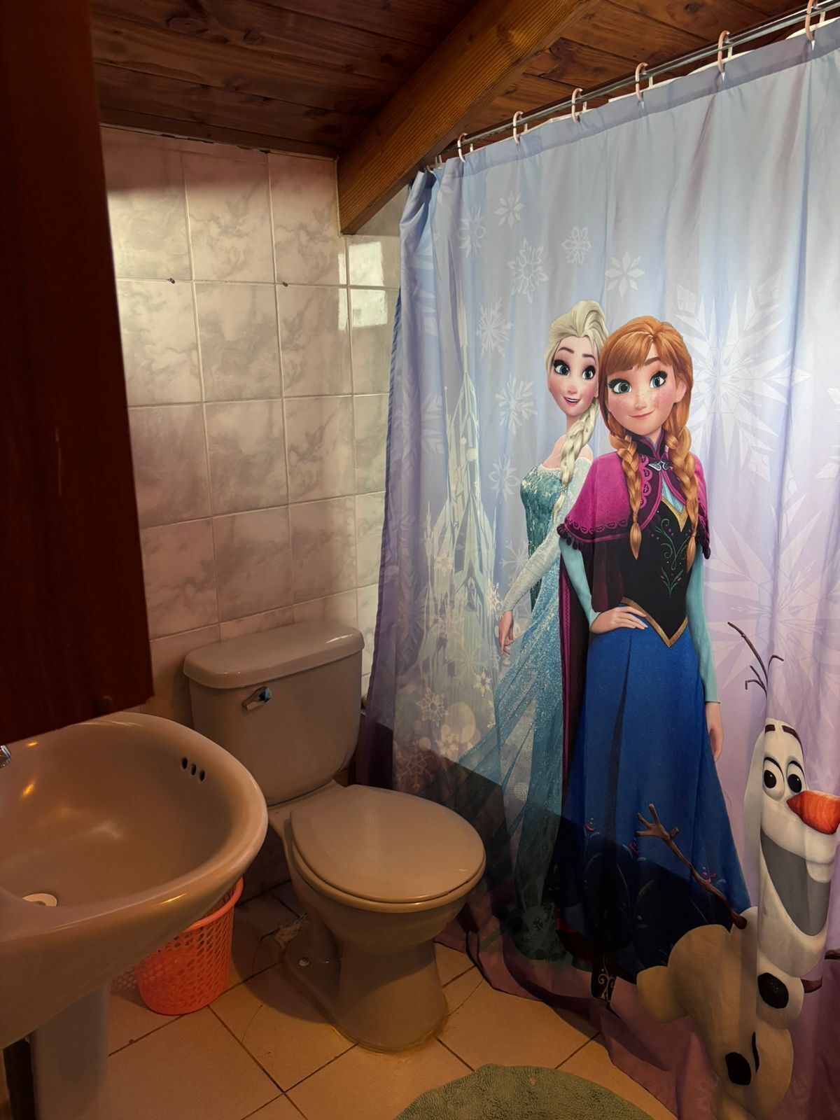 Savon, papier toilette