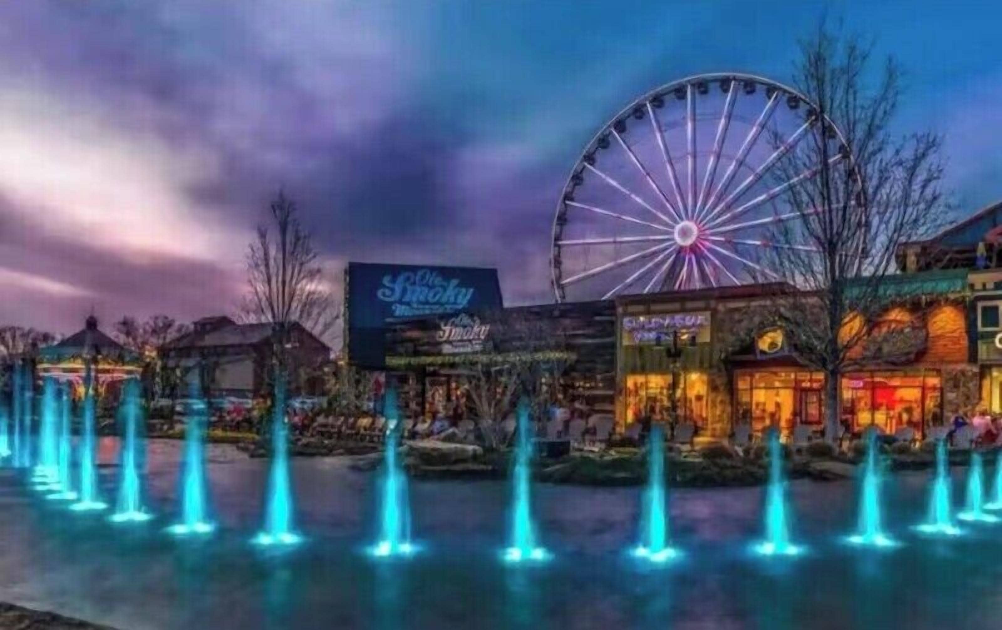 Apartment | 3 bedrooms