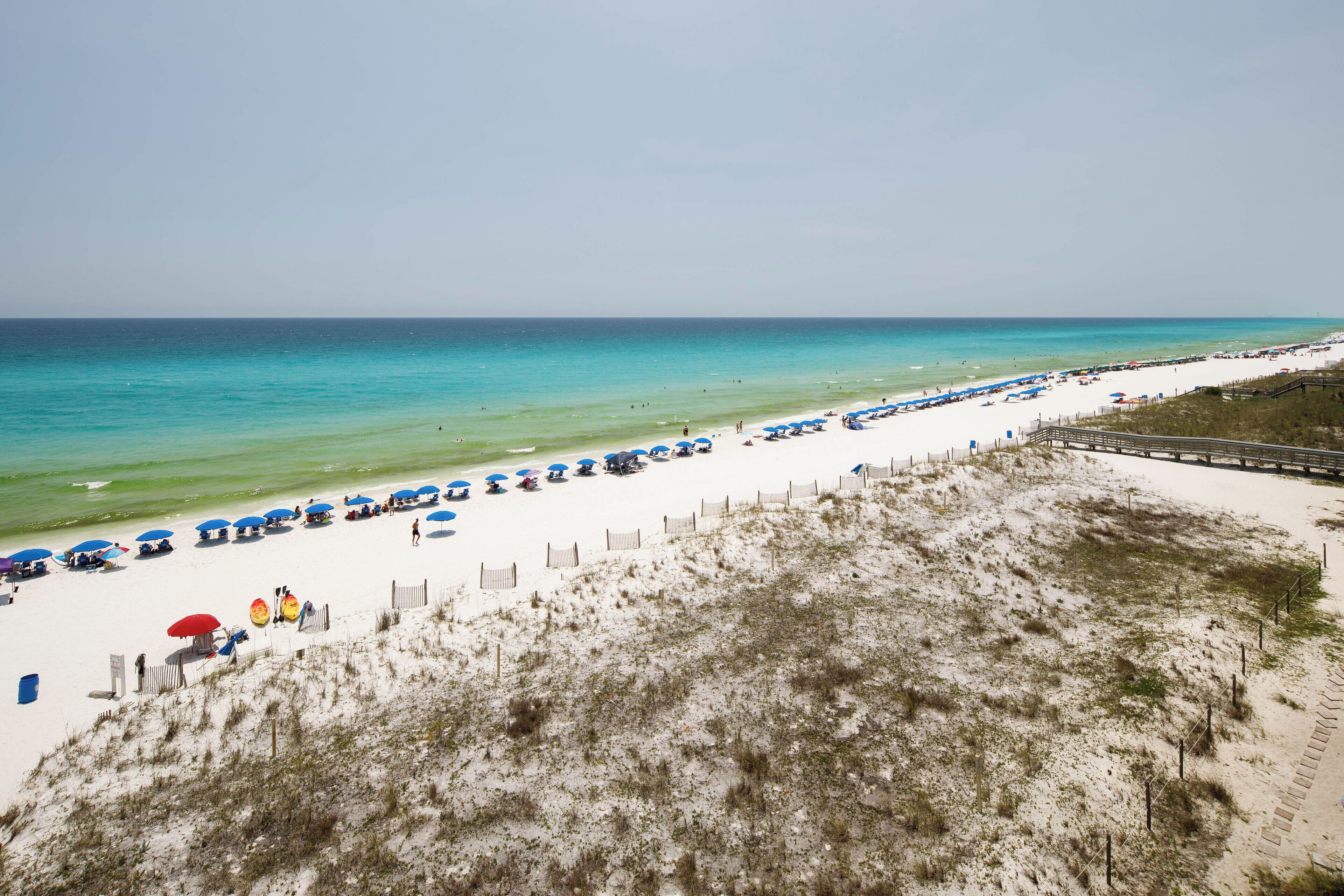 A beach with rows of umbrellas and beach chairs, a sandy area with sparse vegetation, and a clear view of the ocean.