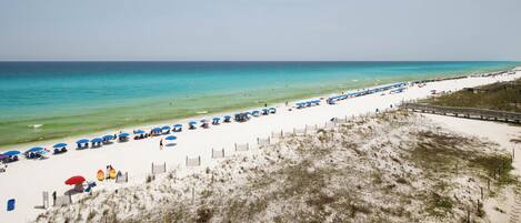A beach with rows of umbrellas and beach chairs, a sandy area with sparse vegetation, and a clear view of the ocean.