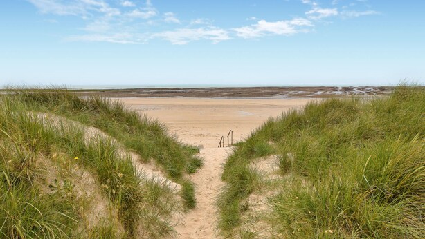 Ein Sandstrand mit blauem Himmel und saftigen Dünen.