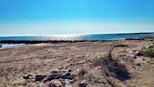 Une plage de sable bordée d’une côte rocheuse, sous un ciel bleu et dégagé.