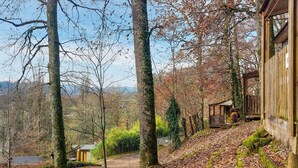 Une cabane rustique aux murs en bois, entourée de grands arbres et d’un sol recouvert de feuilles.