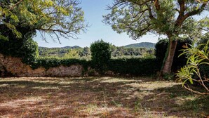 Property grounds - Château St-Auriol - Silk Farm (LAGRASSE)
