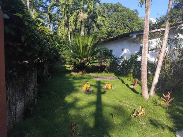 A well-maintained garden with a variety of tropical plants and a palm tree, surrounded by a white building with a flat roof.
