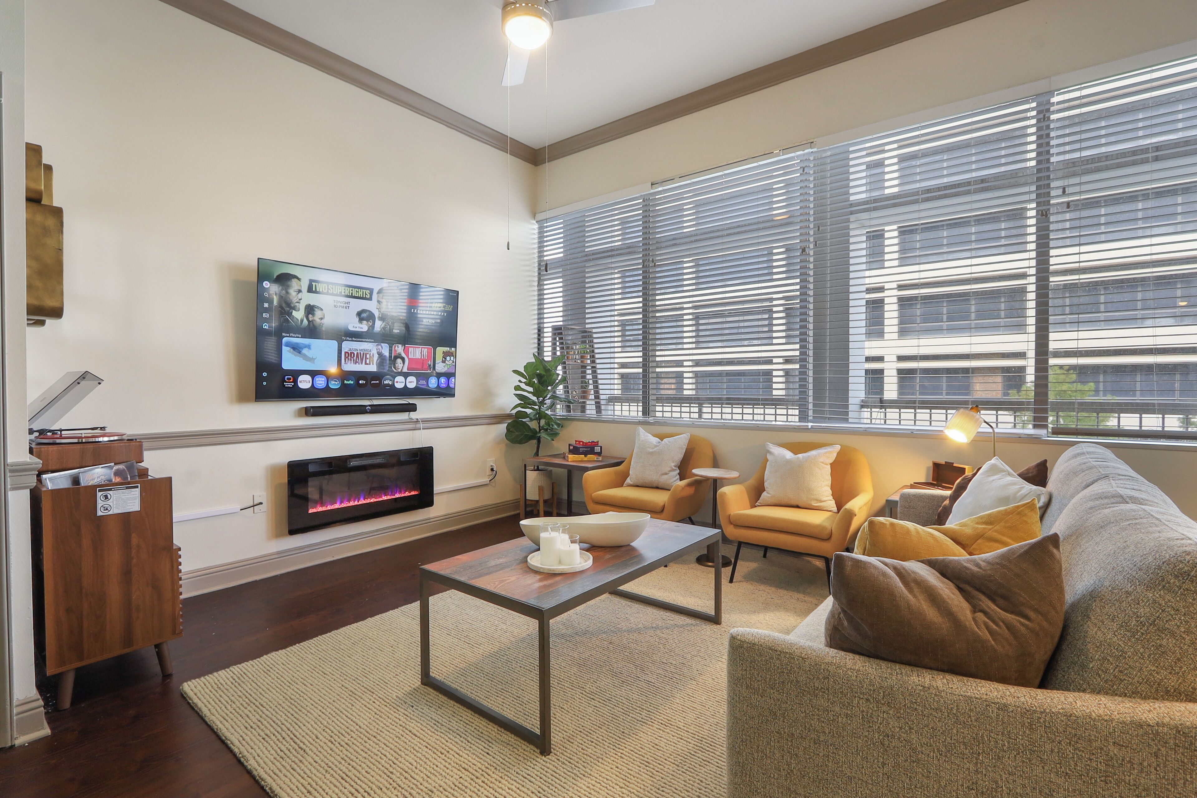 Smart TV, fireplace, books