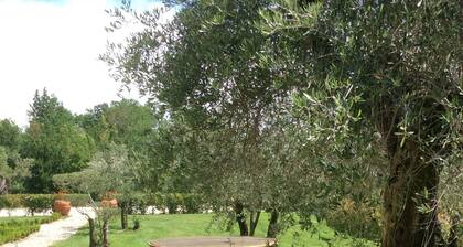 Apartment in Tuscany With Pool and Lucca Views