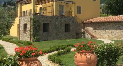 Apartment in Tuscany With Pool and Lucca Views