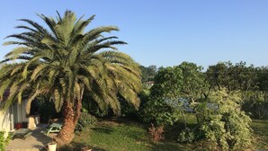 A garden with a palm tree, a small pond, and various shrubs. - 5 flower house - HEUGAS (HEUGAS)