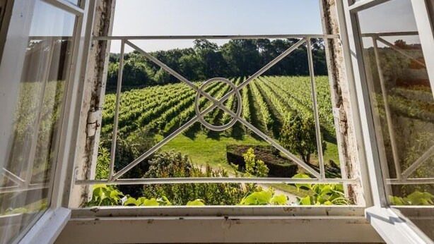 Una ventana con arco por donde se ve un viñedo.