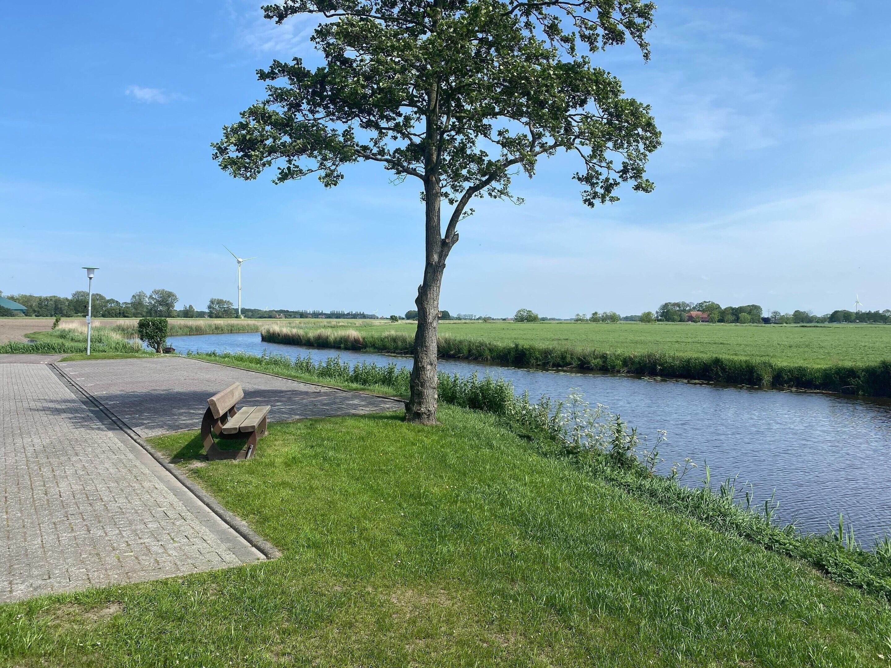 A riverside park with a bench, a lamppost, and a tree.