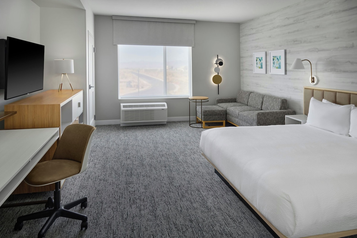 Suite monolocale, 1 letto king con divano letto | Una cassaforte in camera, una scrivania, postazione laptop