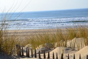 Una playa con dunas de arena y pastos altos en primer plano, que se extiende hasta el océano.