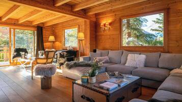 Télévision, cheminée, jeux vidéo, lecteur de DVD