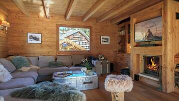 TV, fireplace, video games, DVD player