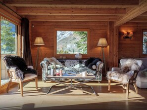 Télévision, cheminée, jeux vidéo, lecteur de DVD