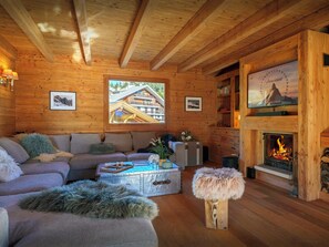 TV, fireplace, video games, DVD player - Chalet L'Evidence -Explore Mercantour and relax in the sauna - OVO Network (Saint-Étienne-de-Tinée)