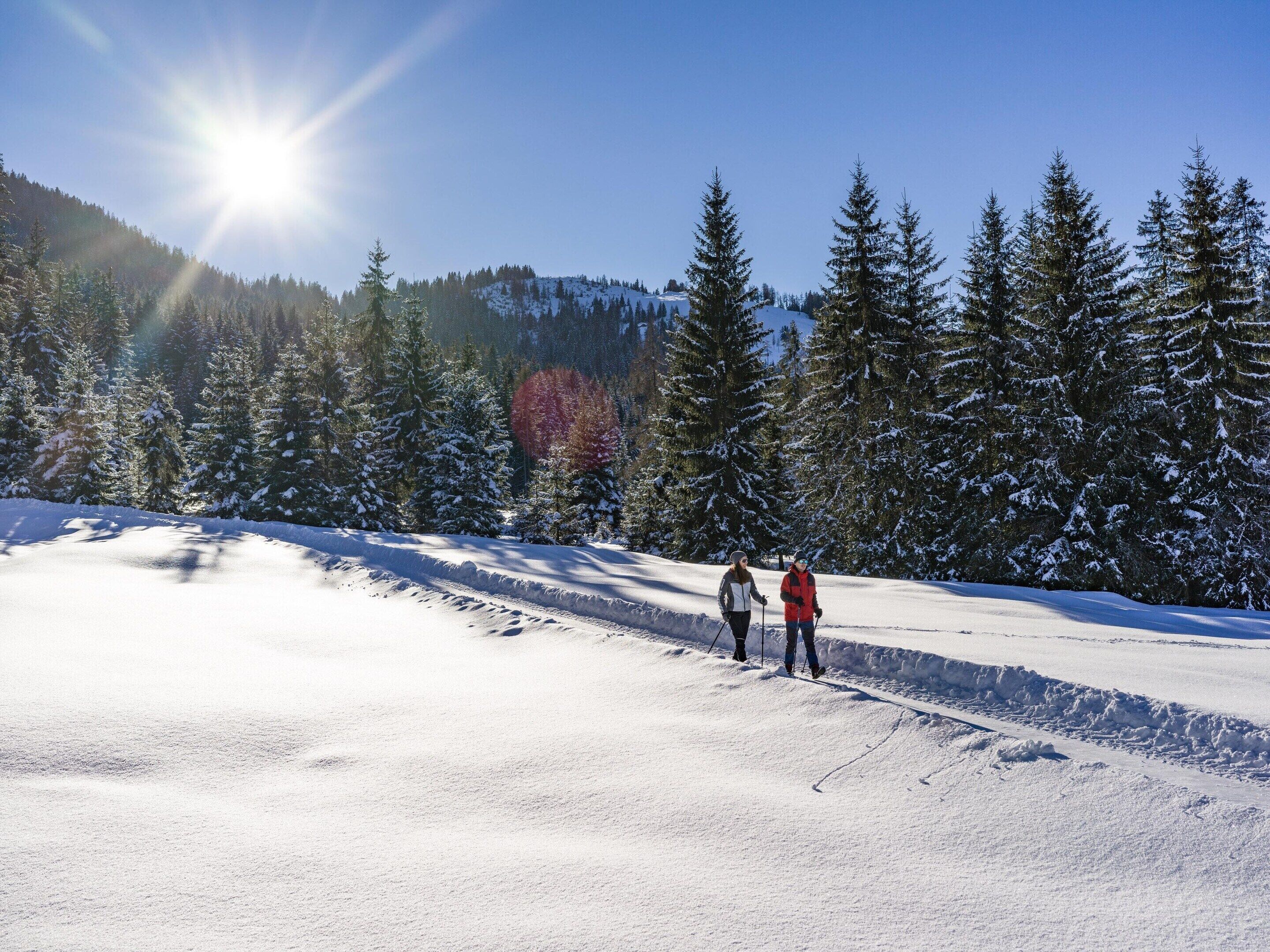 Paesaggio innevato con due persone che sciano, circondate da alberi sempreverdi e un cielo sereno.
