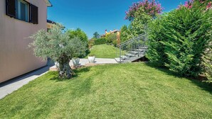 Un giardino curato con prato, un piccolo albero e una scalinata che conduce a un edificio.
