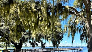 A park with a wooden pier extending into a body of water, surrounded by trees with hanging moss.