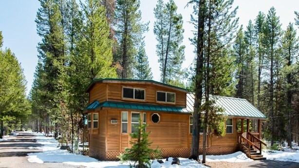 A wooden cabin with a green roof, surrounded by tall pine trees. - Young at Heart Chalet, Pet Friendly- 507 (Crescent Lake Junction)