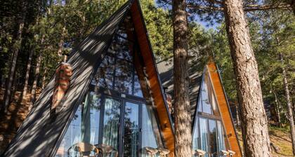 Teal Retreat The Golden Cabins With Garden