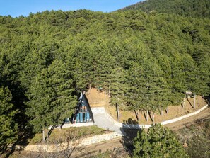 Estudio | 1 habitación 