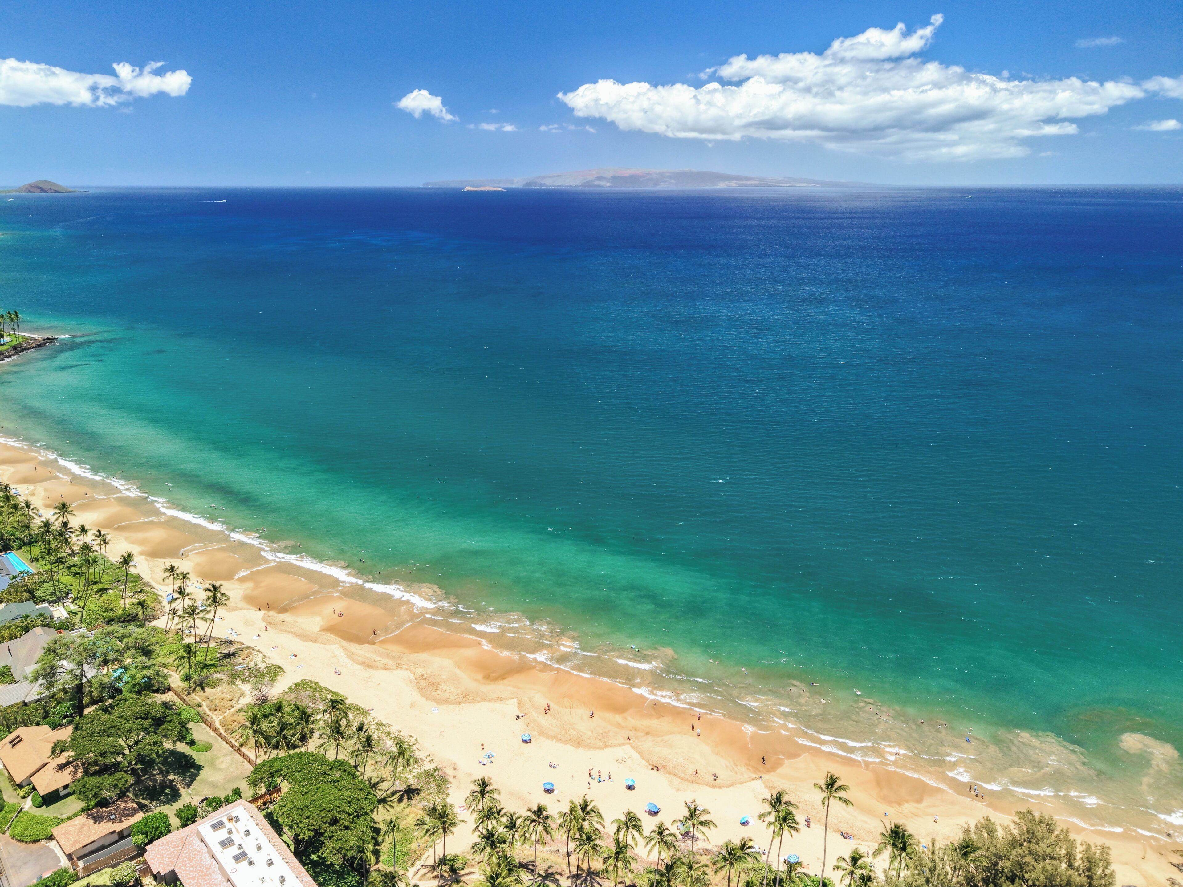 Una playa con aguas turquesas cristalinas, orillas de arena y palmeras.
