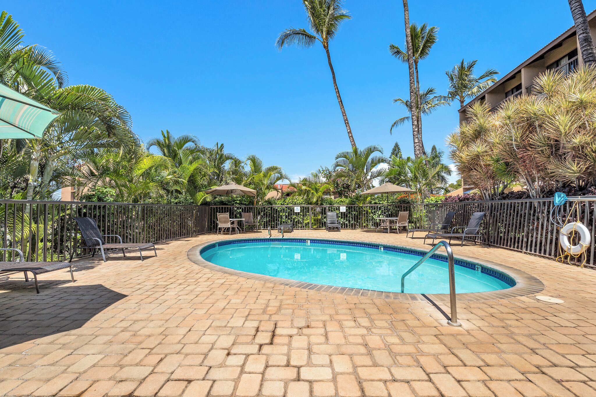 Ein Swimmingpool mit Liegestühlen und Sonnenschirmen, umgeben von Palmen und einem Zaun.