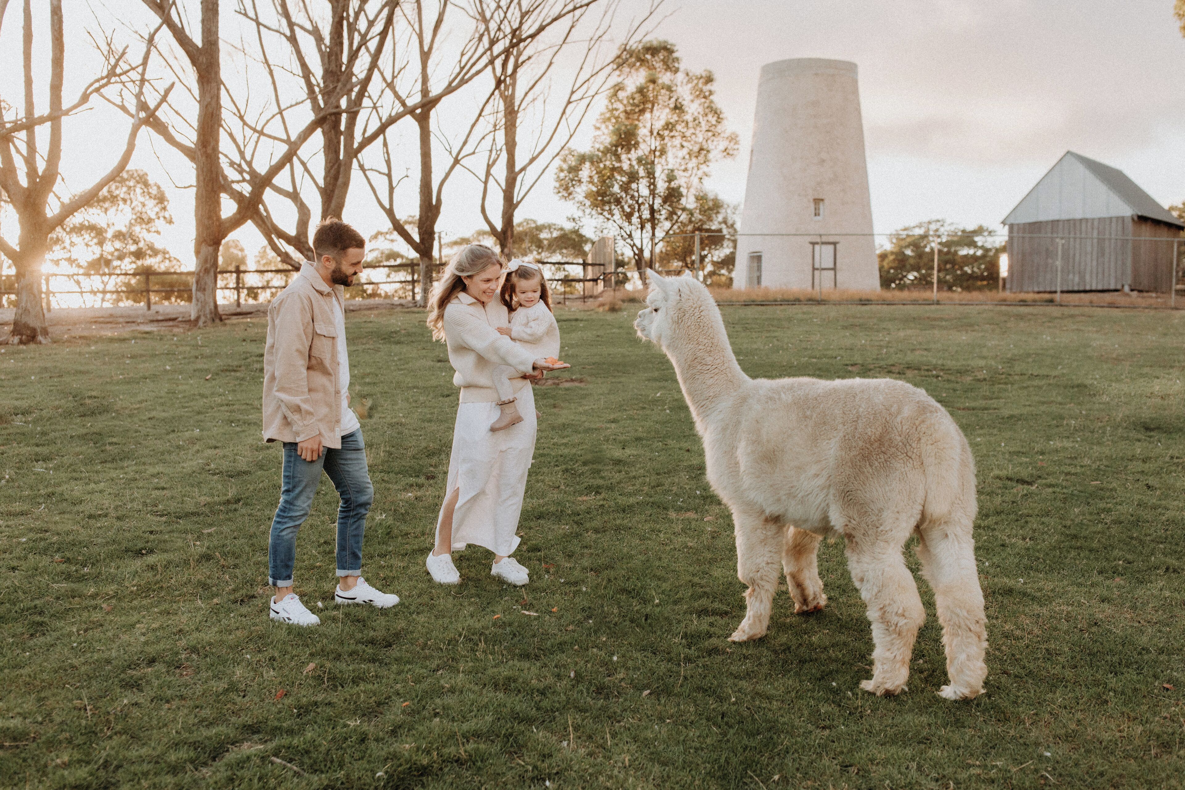 Eine Gruppe von Personen auf einer Wiese, im Hintergrund ein weißes Lama, ein Silo und eine Scheune.