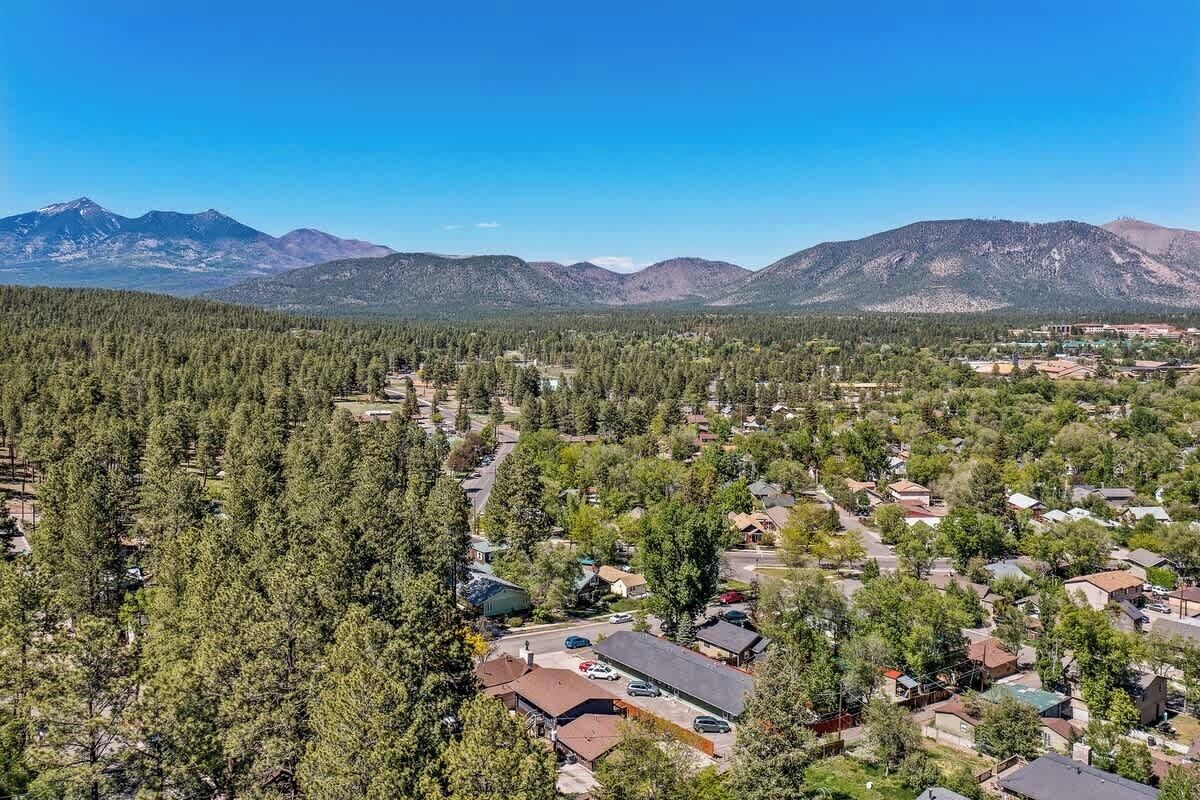 Un quartier résidentiel avec des maisons, des routes et une forêt dense.
